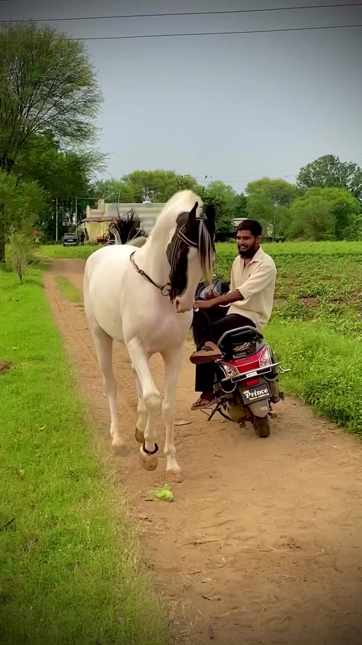 @@𝙂𝙍 𝙃𝙤𝙧𝙨𝙚 𝙁𝙖𝙧𝙢 🐴