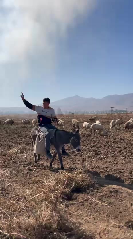 @BARIŞ_A_51🦅