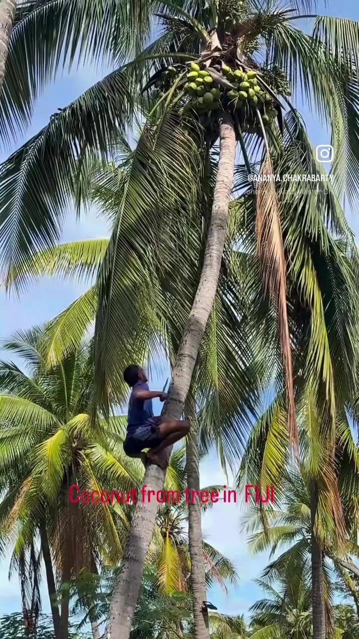@AnanyaChakrabarty90