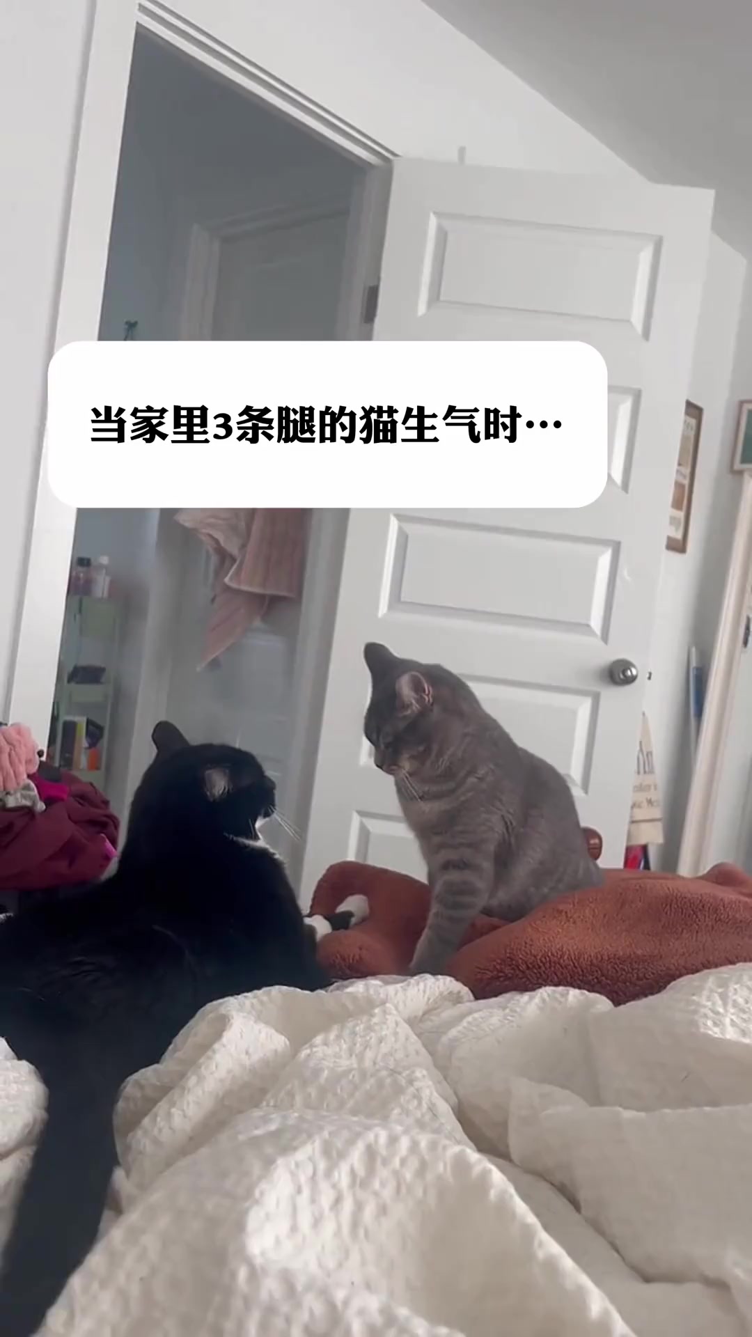 @平凡無奇