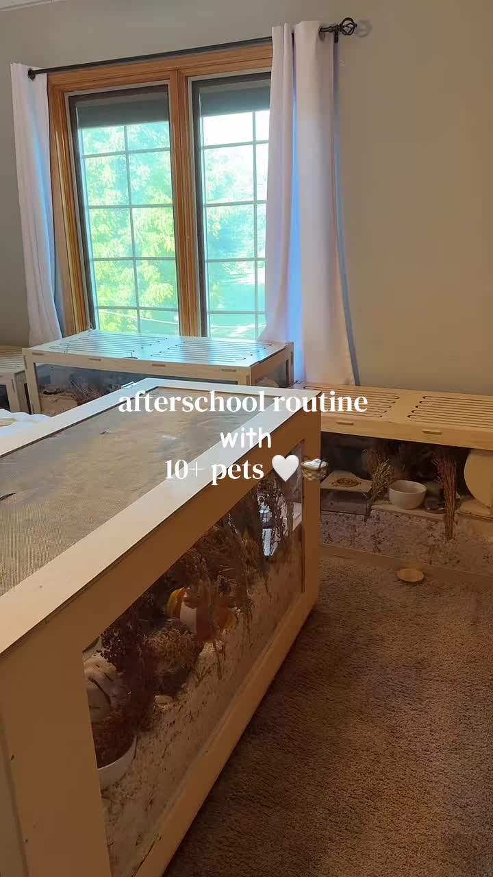 @alexa🤍🐾