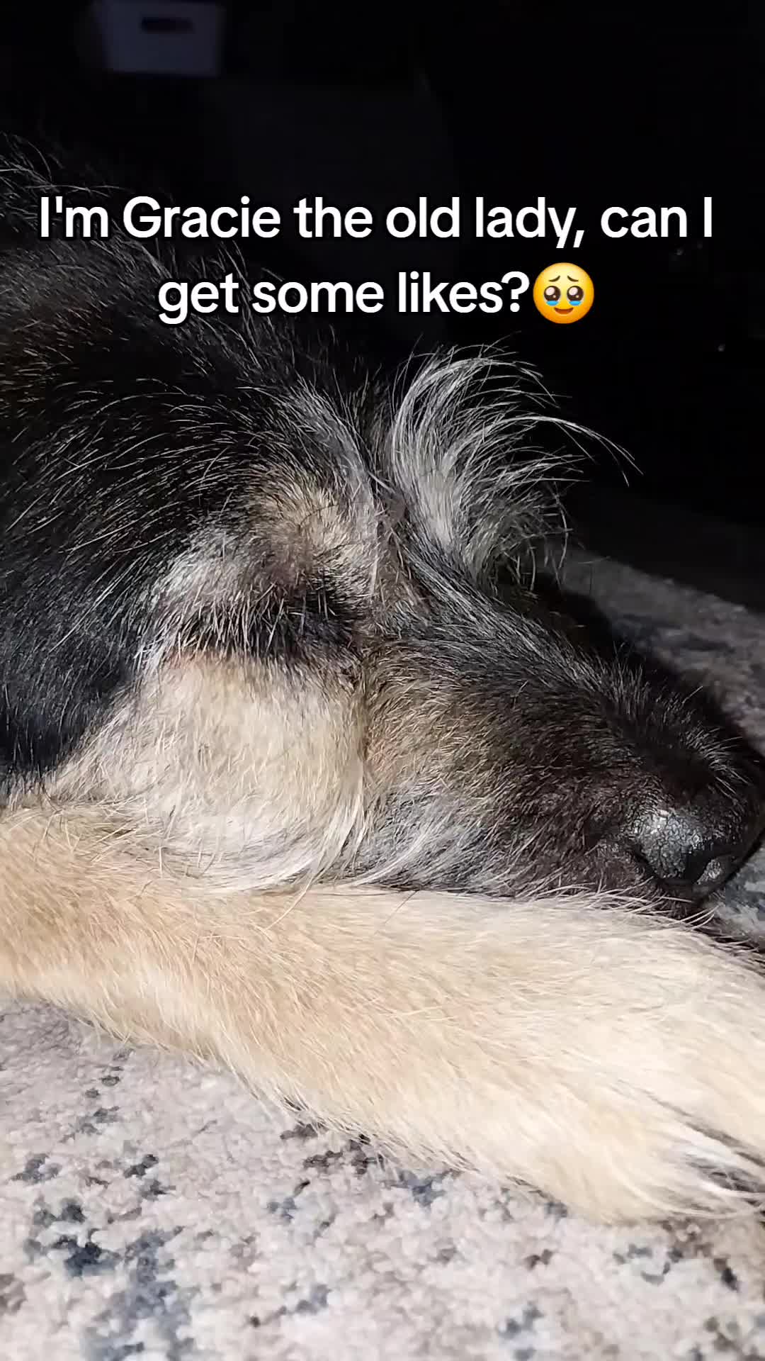 @filmguy13z