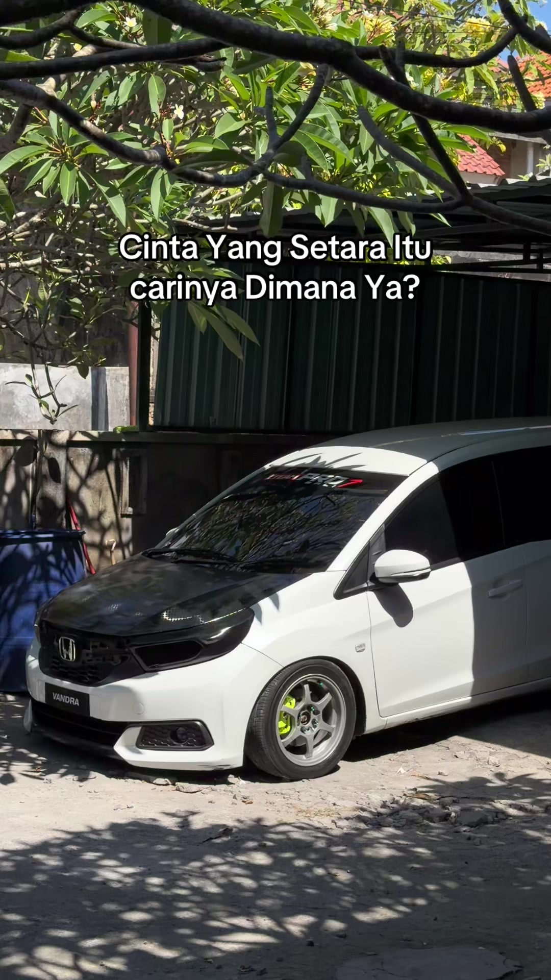 @VANDRA🪬