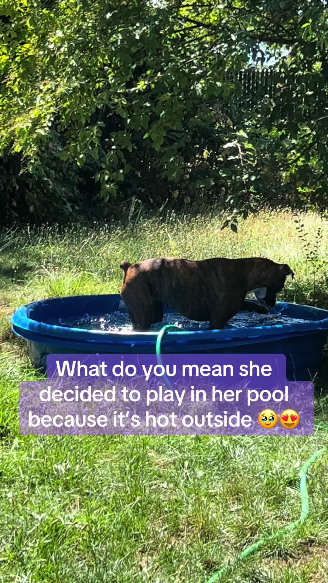 @michellenicole1990