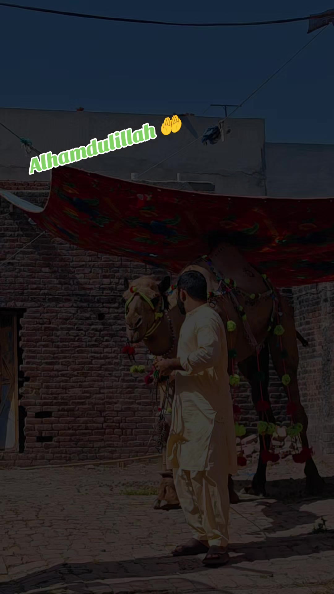@پردیسی