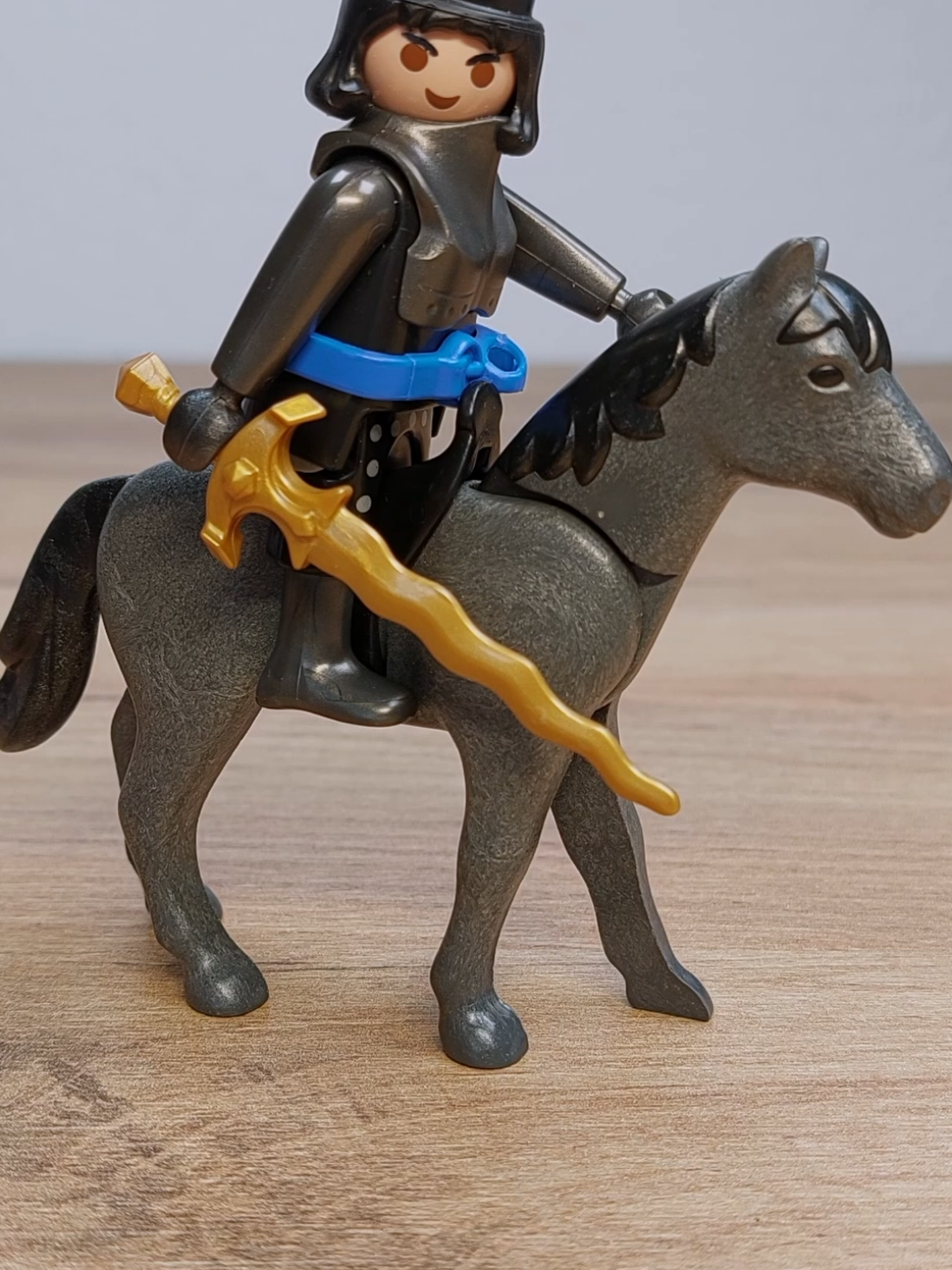 @Playmobil Family