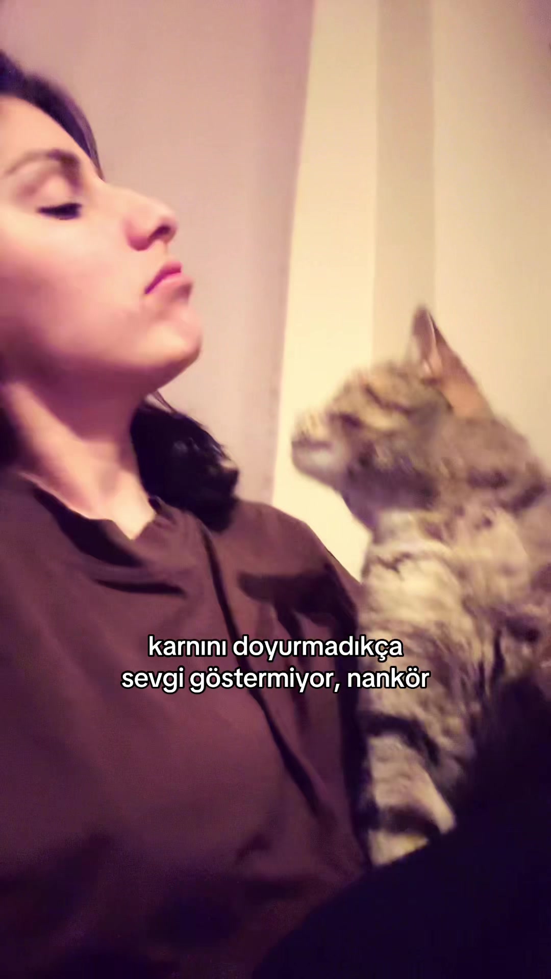 @ekimezda