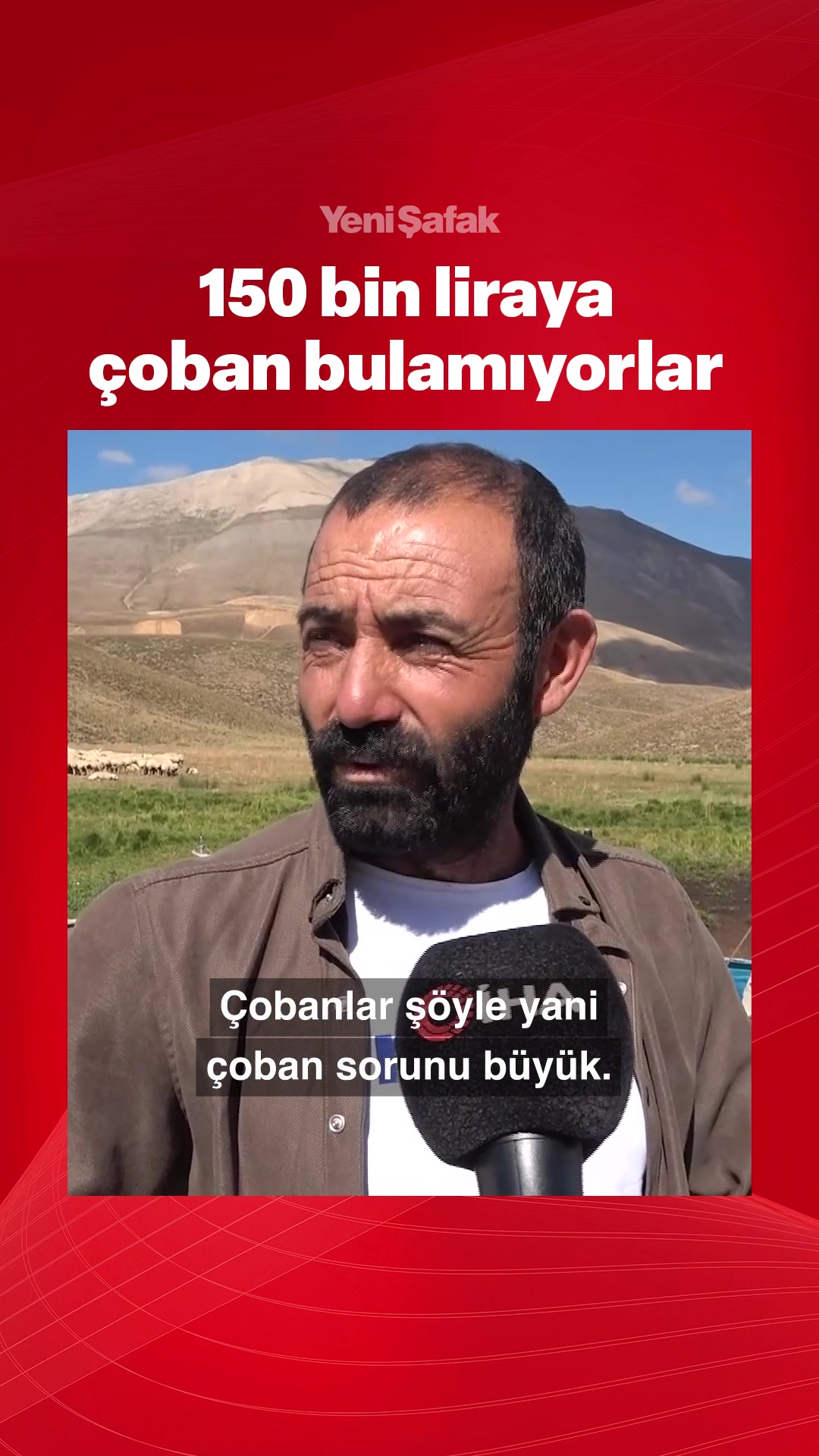 @Yeni Şafak