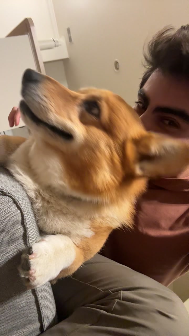 @emilpadil