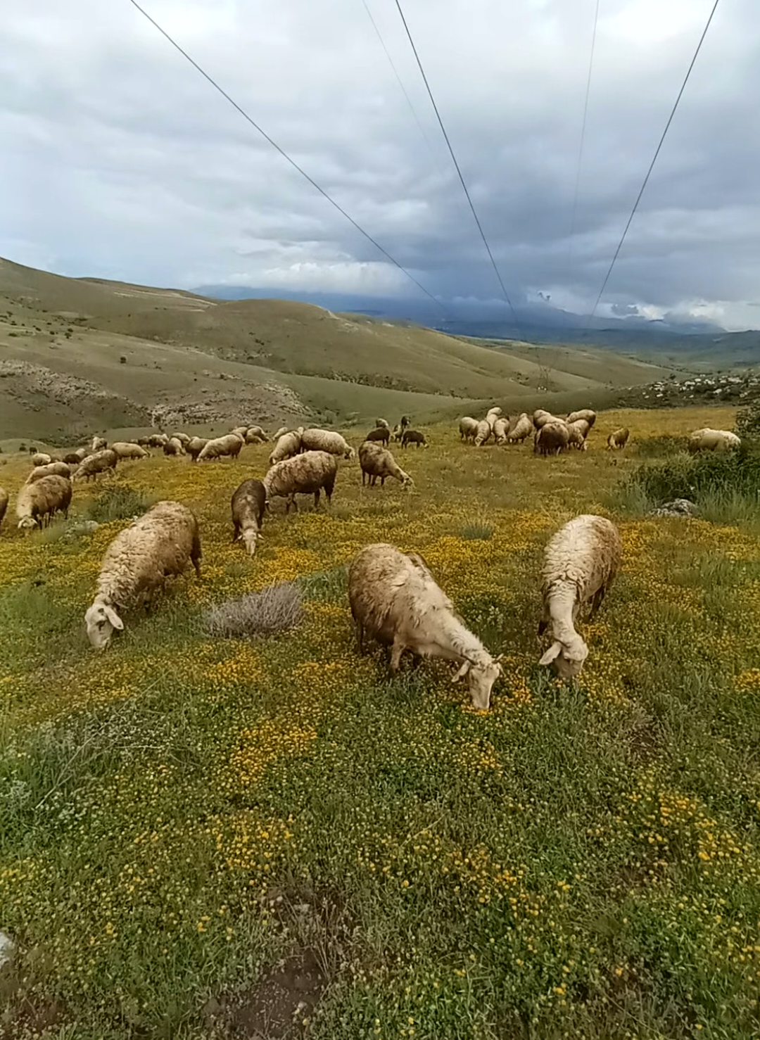 @Furkan STLMŞ 03