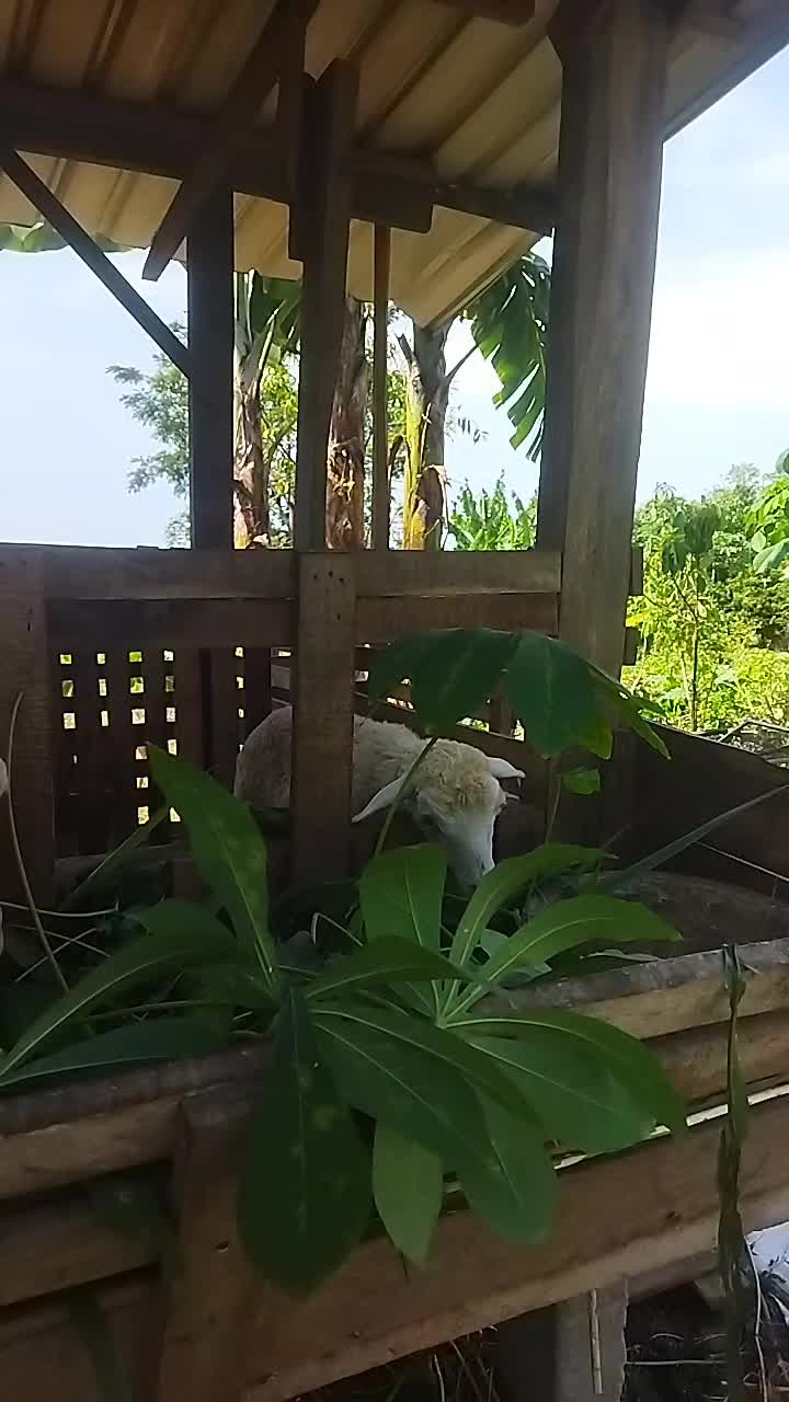 @I'm A Farmer