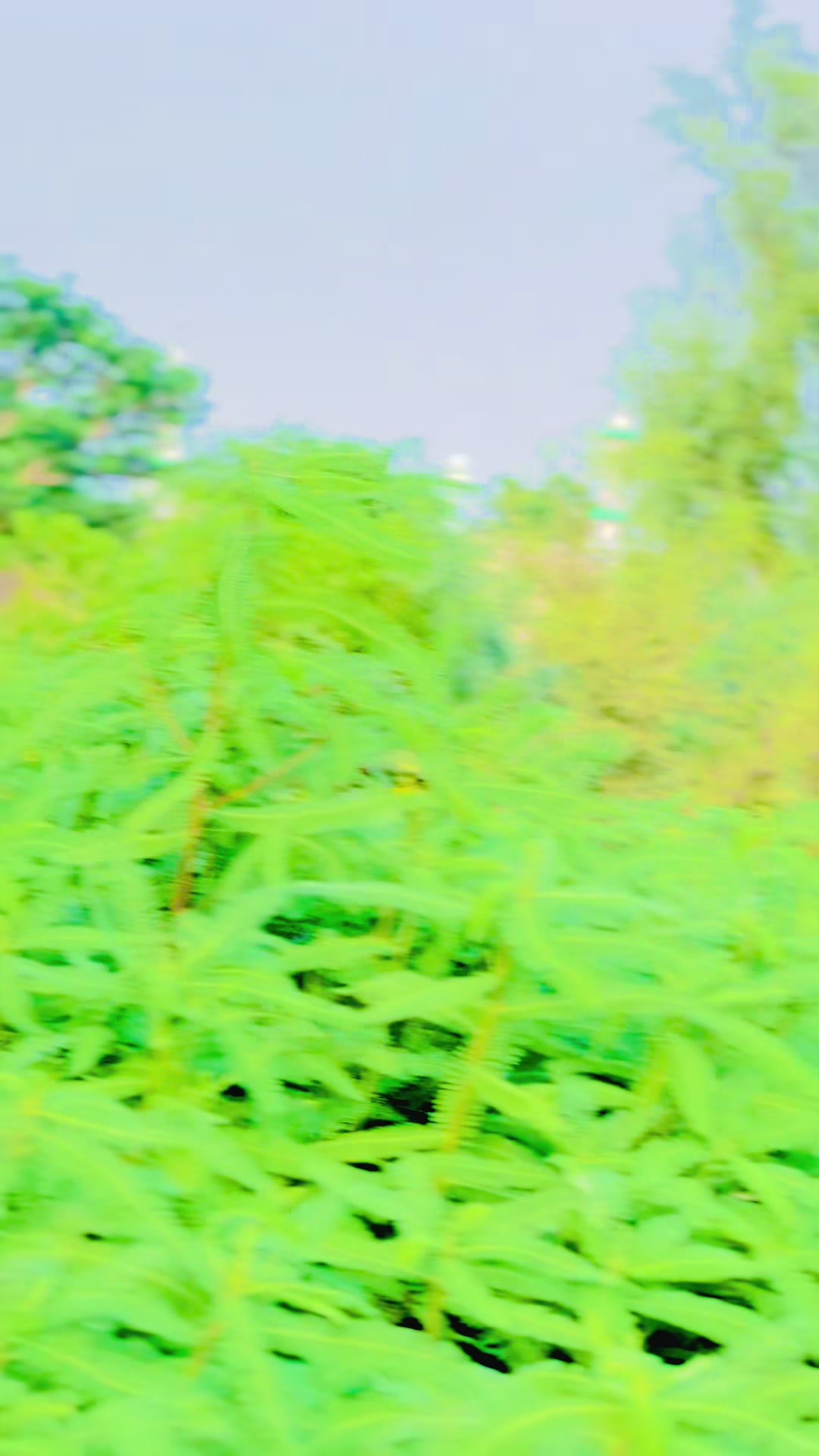 @💸𝙈𝙖𝙇𝙞𝙆 𝙔𝘼𝙎𝙞𝙍🦁