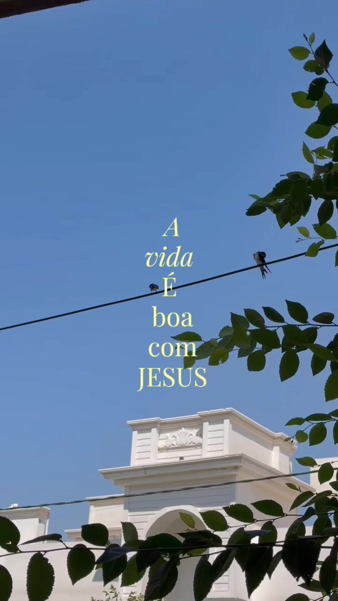 @Chamado Cristão ✝️