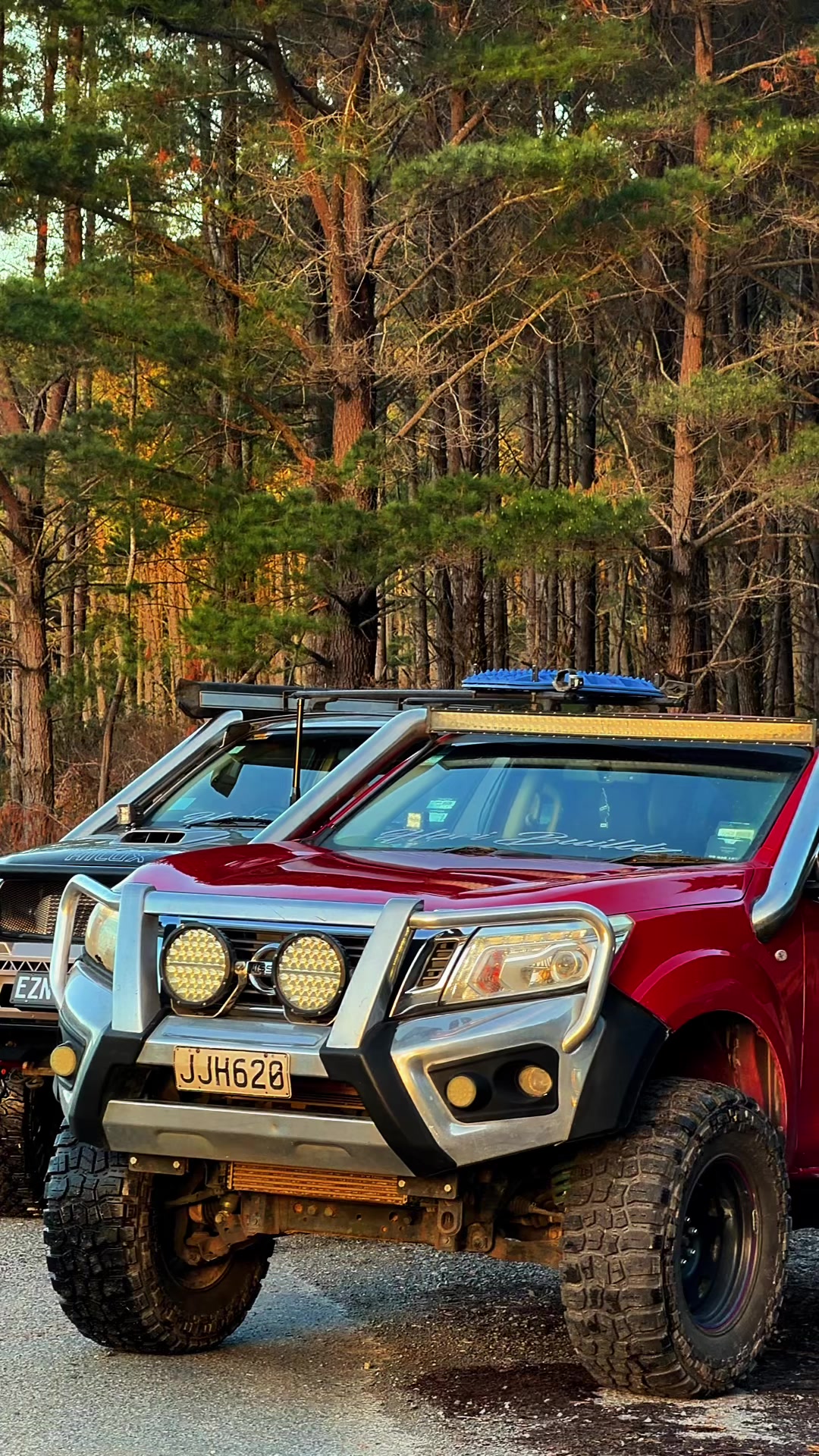 @RED_np300