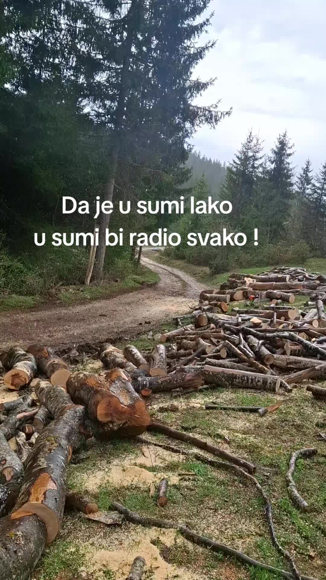 @🌲VRANIĆ🌲
