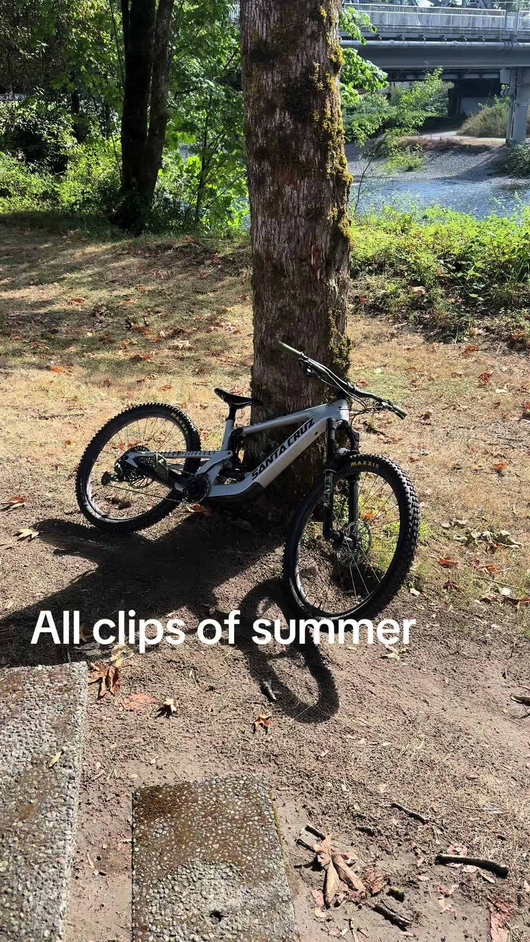 @48v_matthew🌲