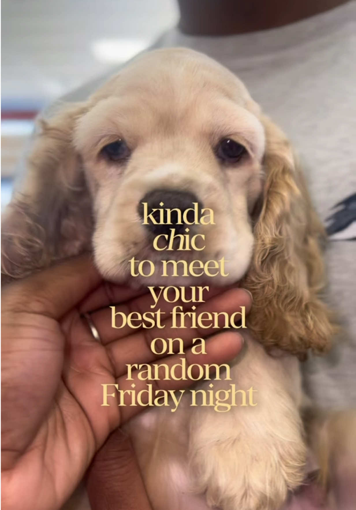 @Petland Oklahoma City