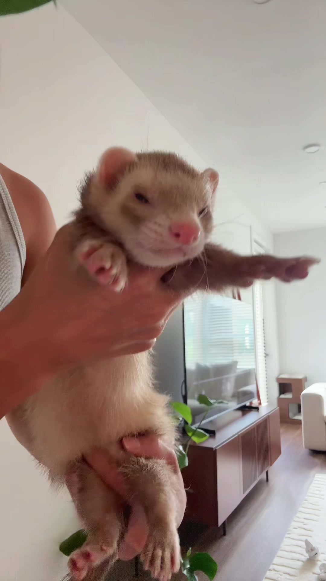 @Moon & Nala