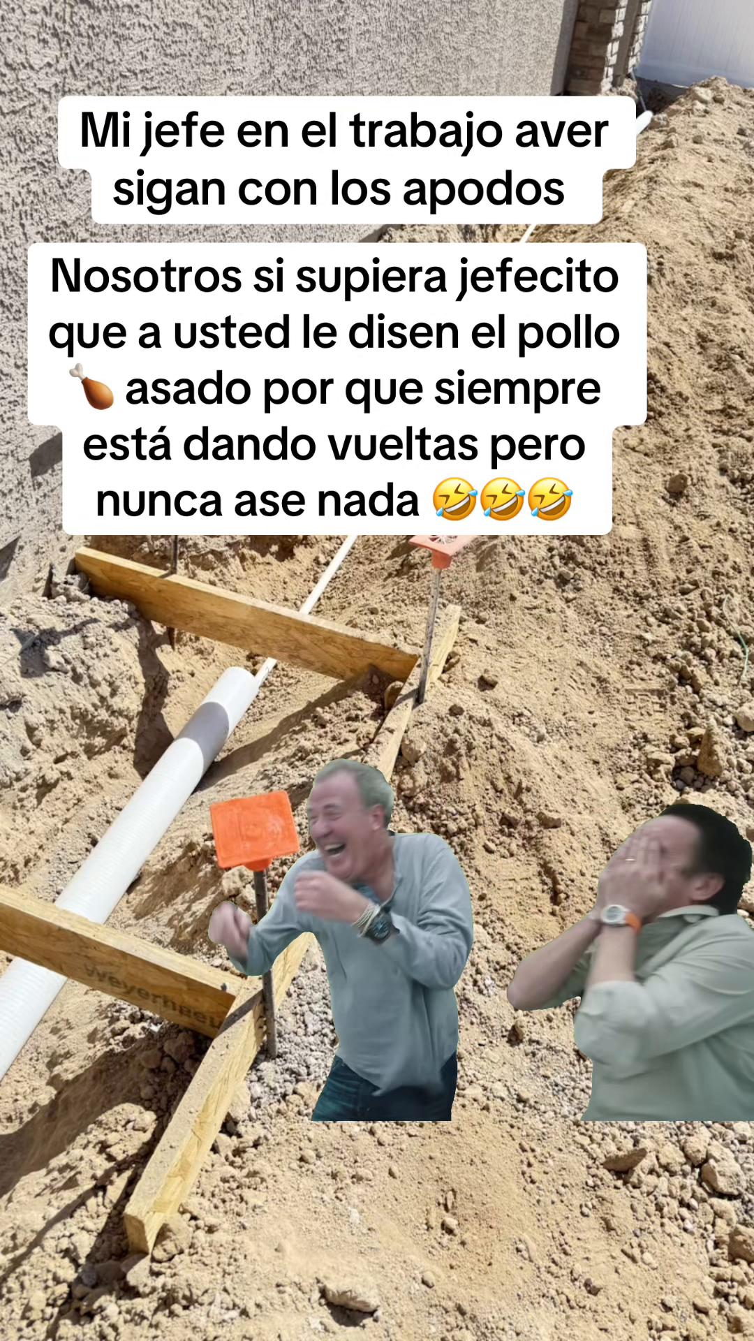 @Elgatoparado-05