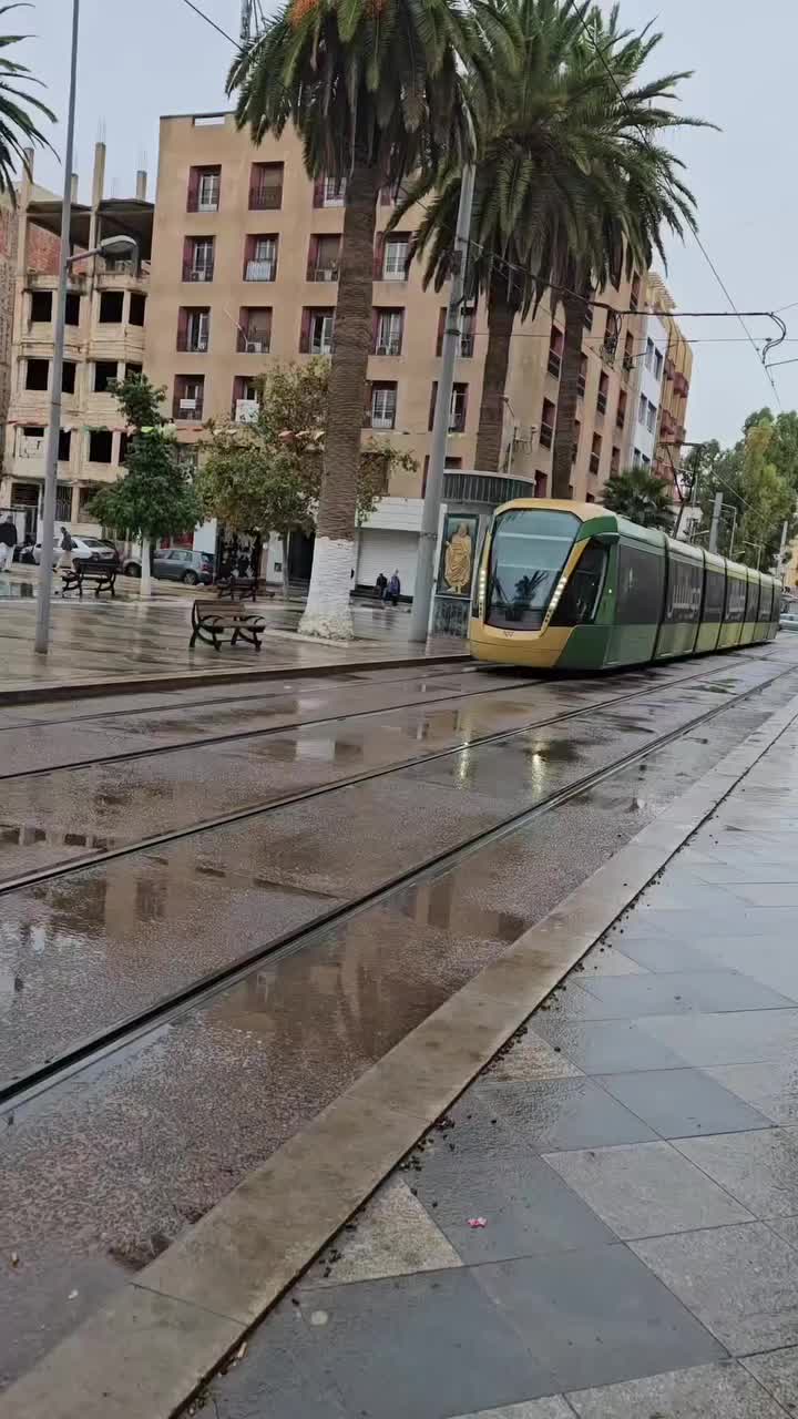 @jonés scholes