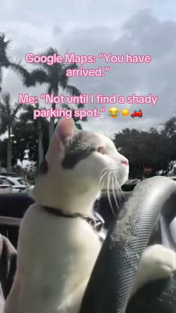 @Shannon MSN RN 🩺💉🩸🦠