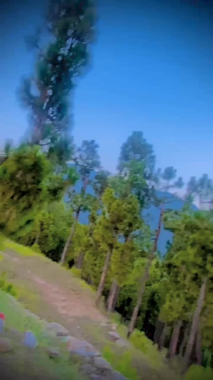 @Amir pukhtoon