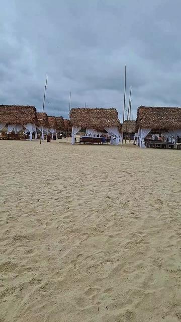 @Lisi Bardales