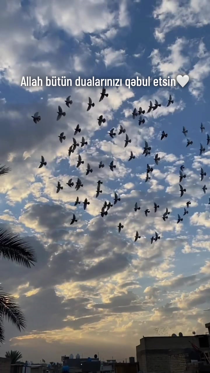 @Menalı Sozler