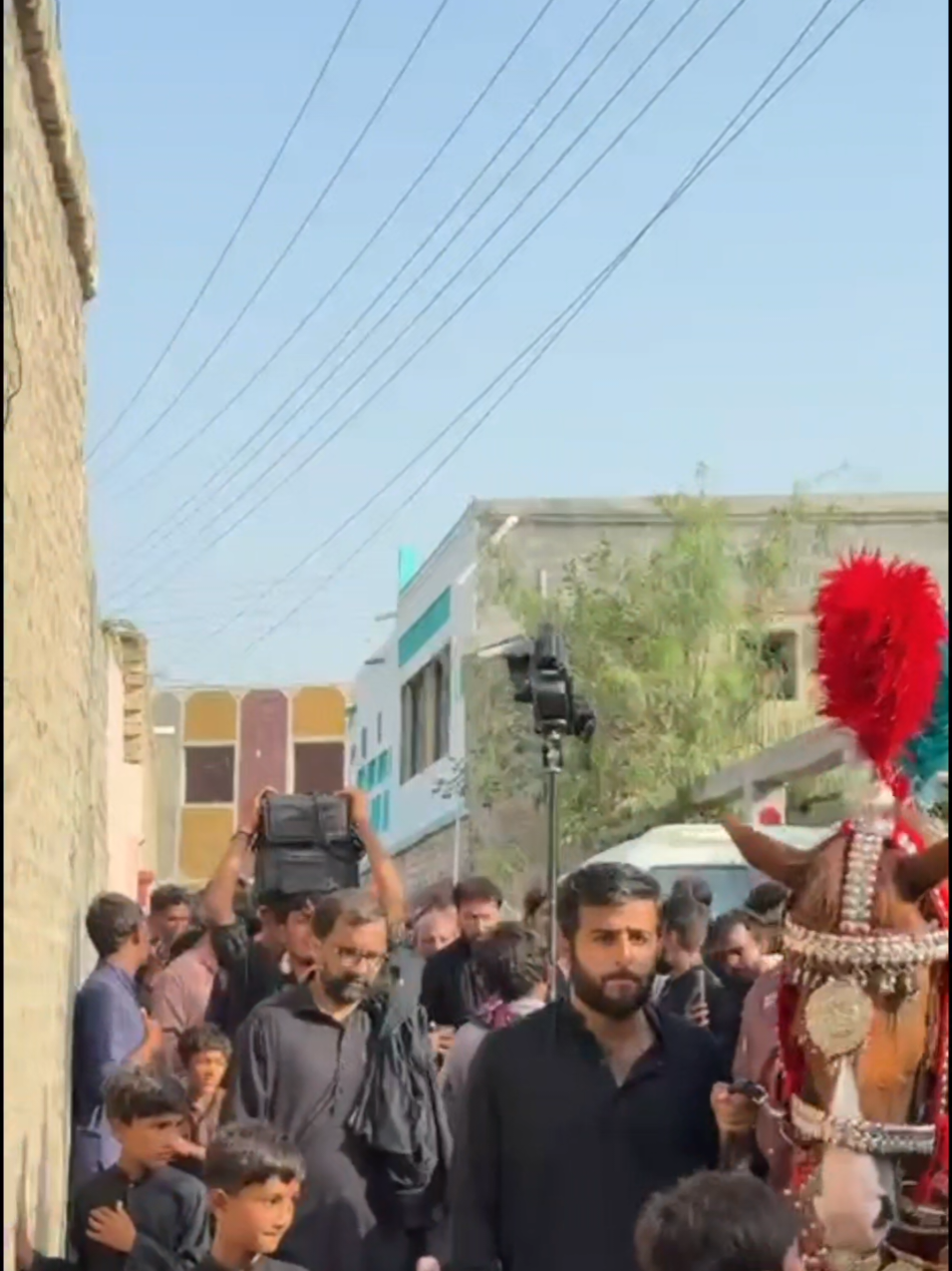 @مرکزی ذوالجناح تلہ گنگ