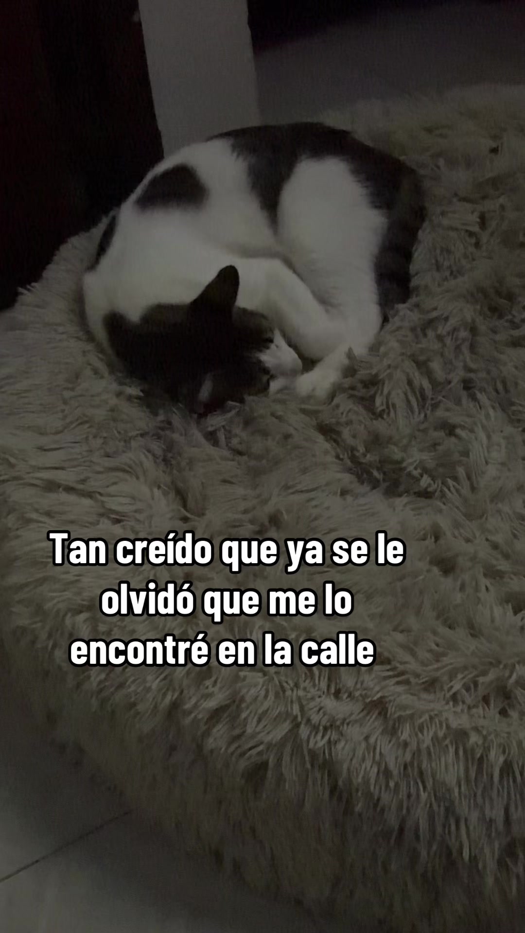 @María Betania