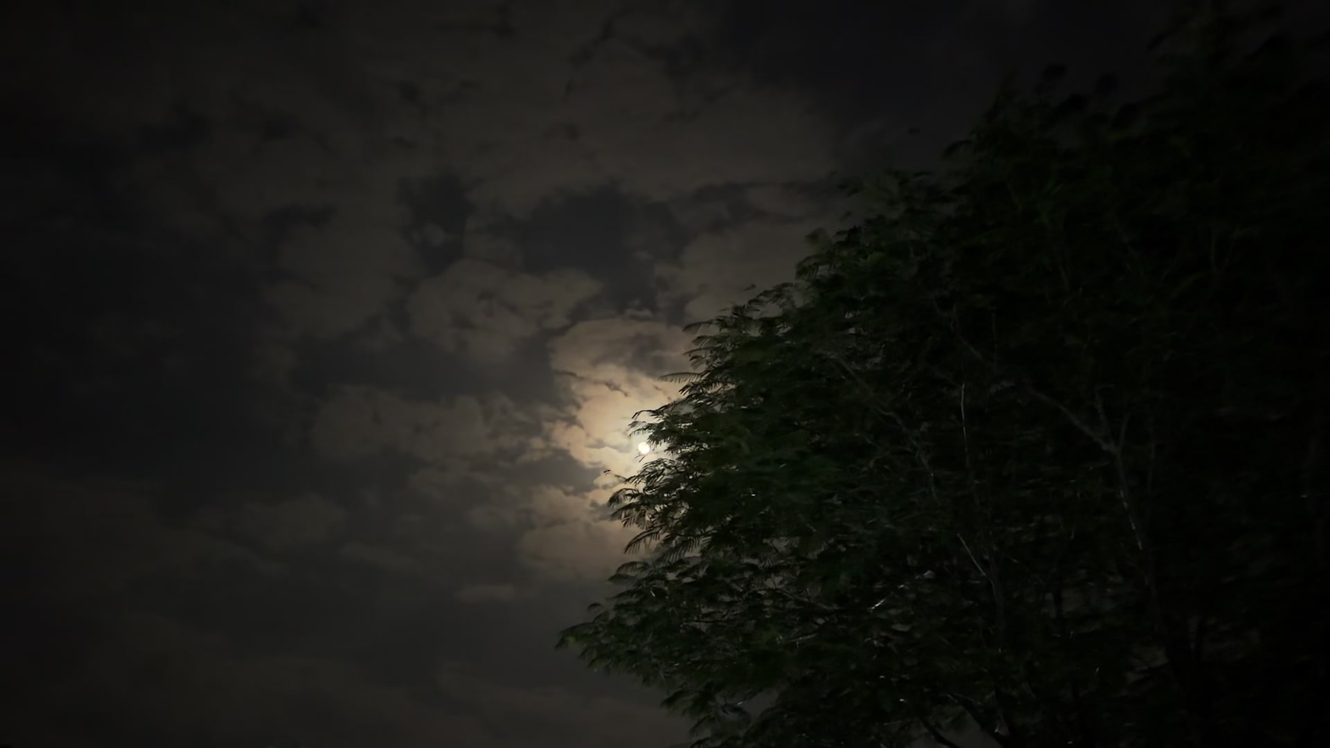 @๐ฏ ๐ฃ ๐ฒ