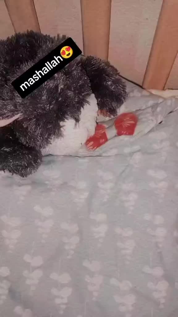 @𝄟✮͢🦋⃟≛⃝ Neha𝄟✮⃝❤