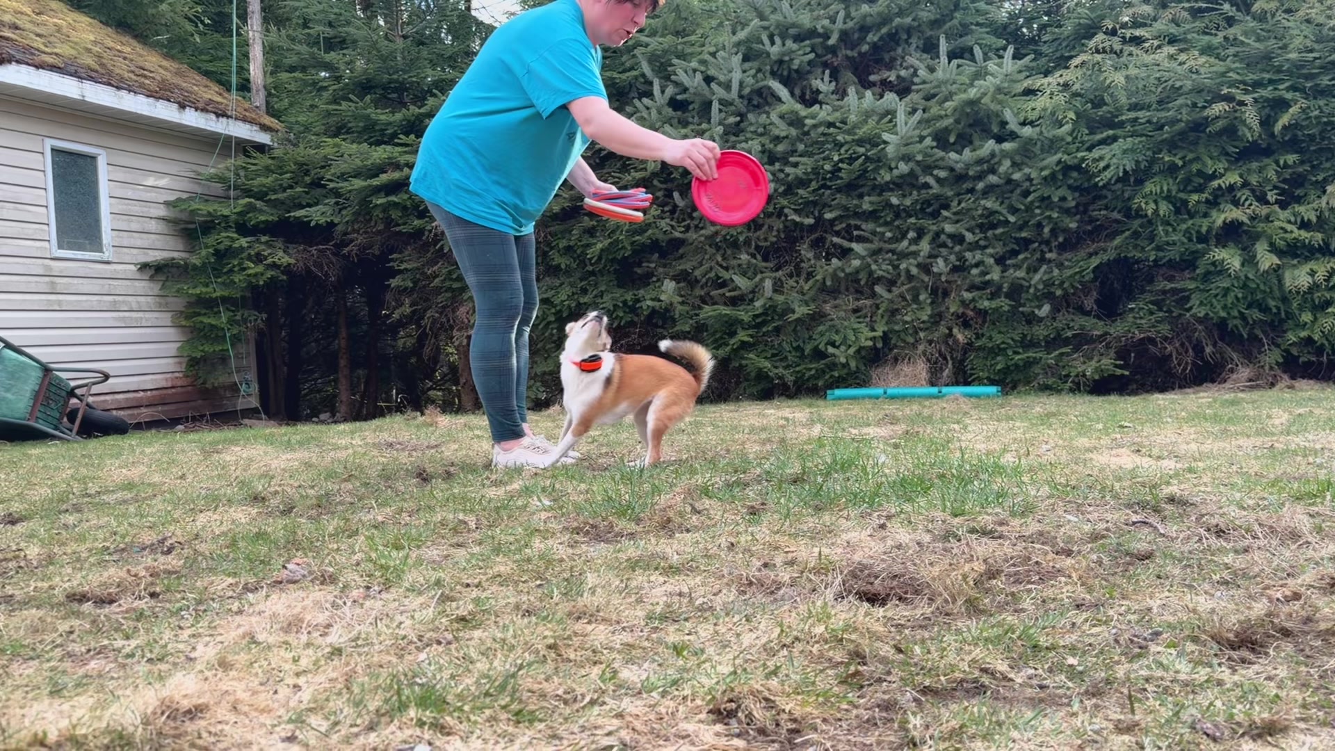 @kaska.olive.fira.roux