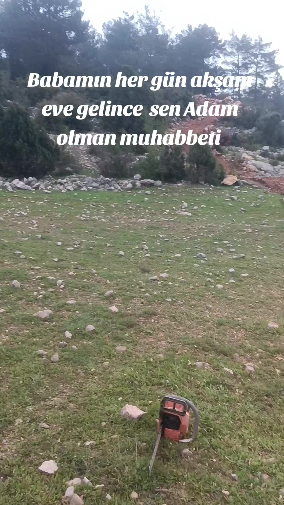 @ibrahim odabaş