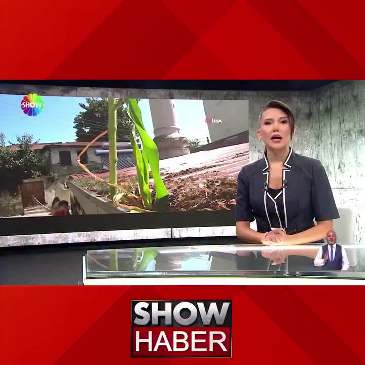 @G&uuml;l