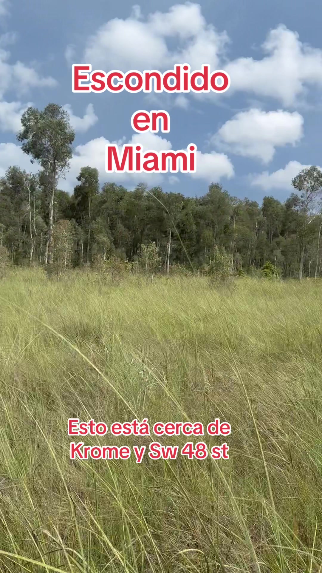 @Florida Land Guy
