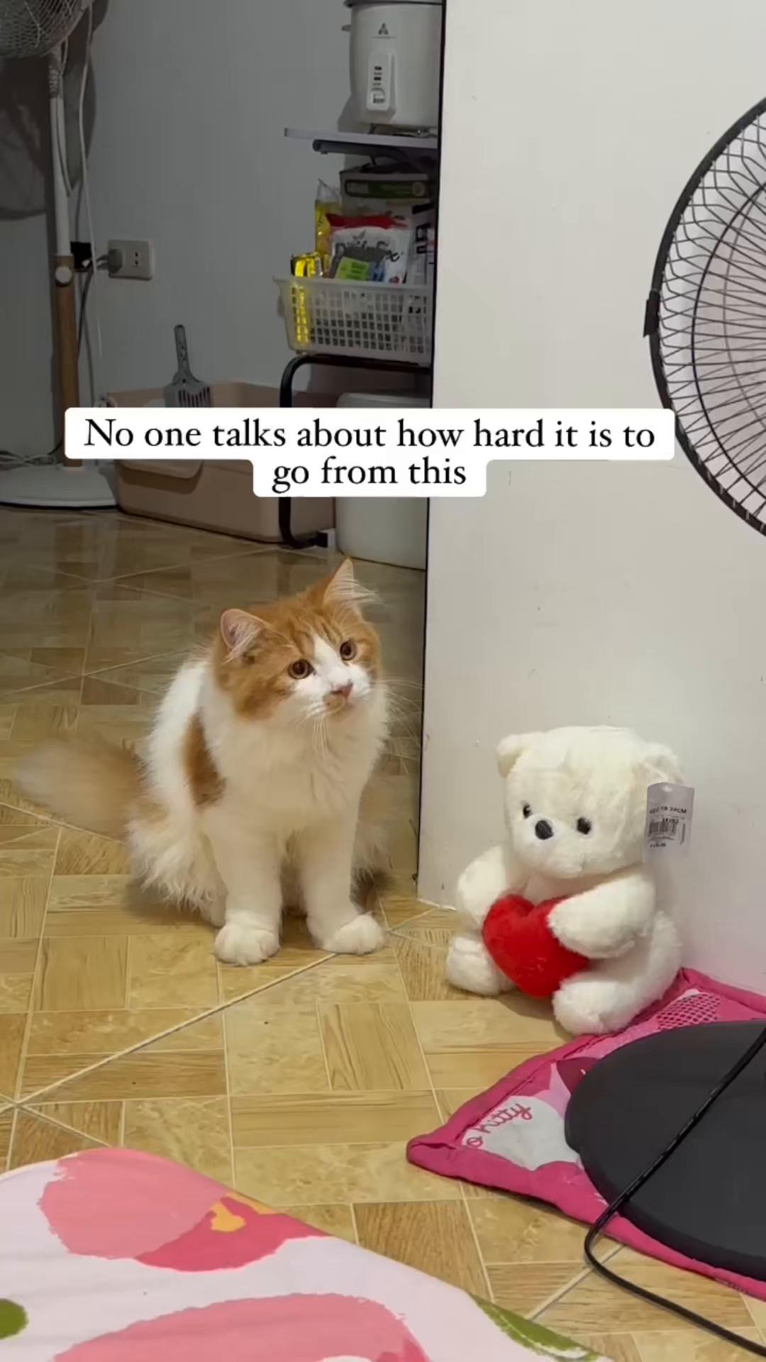 @ncncnczxc