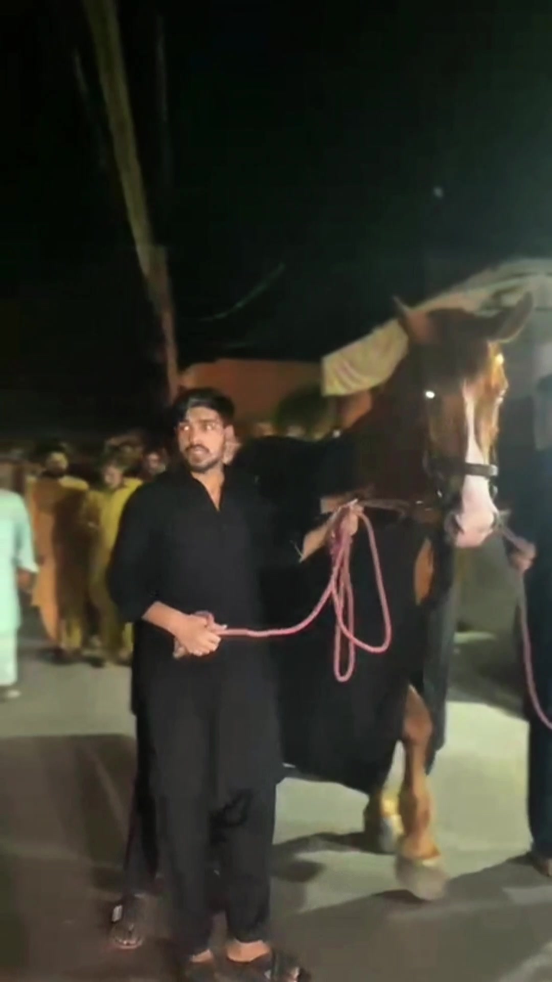 @مرکزی ذوالجناح تلہ گنگ