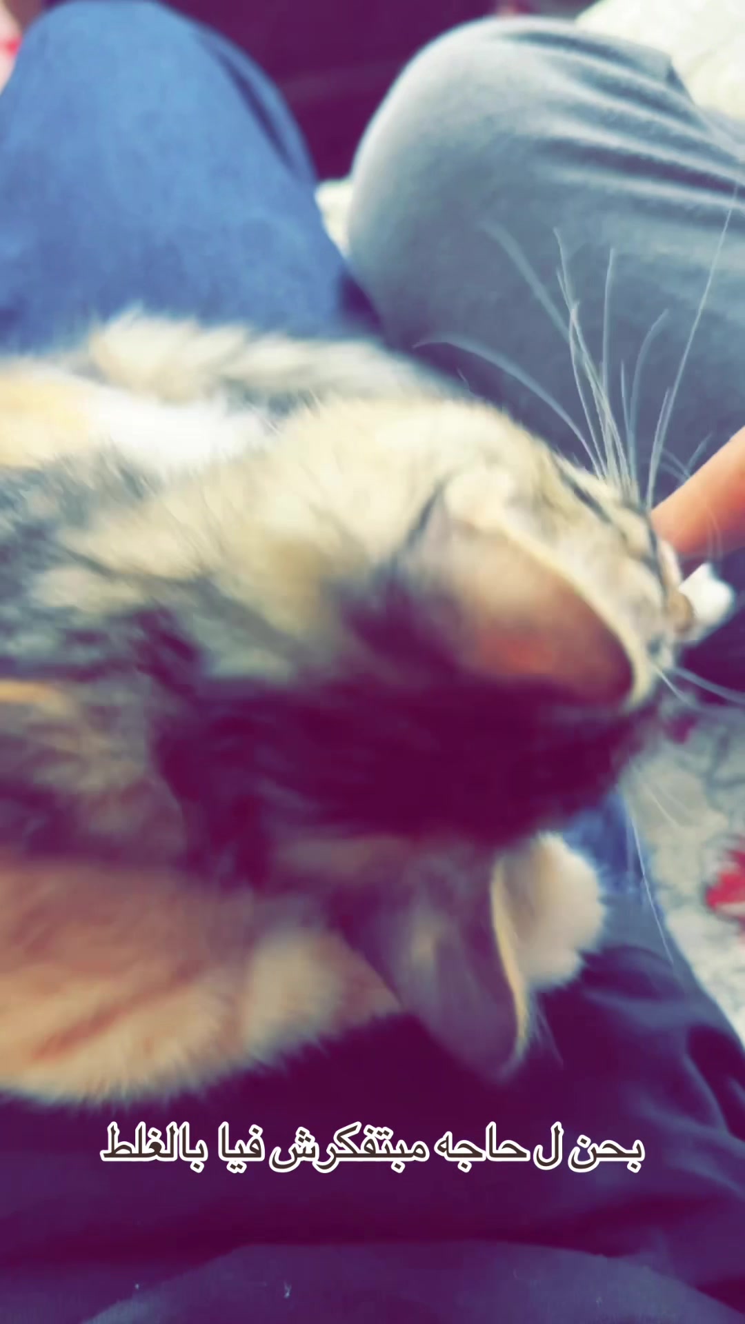 @𝟗𝟗