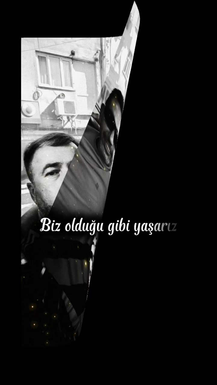 @Halil Sari