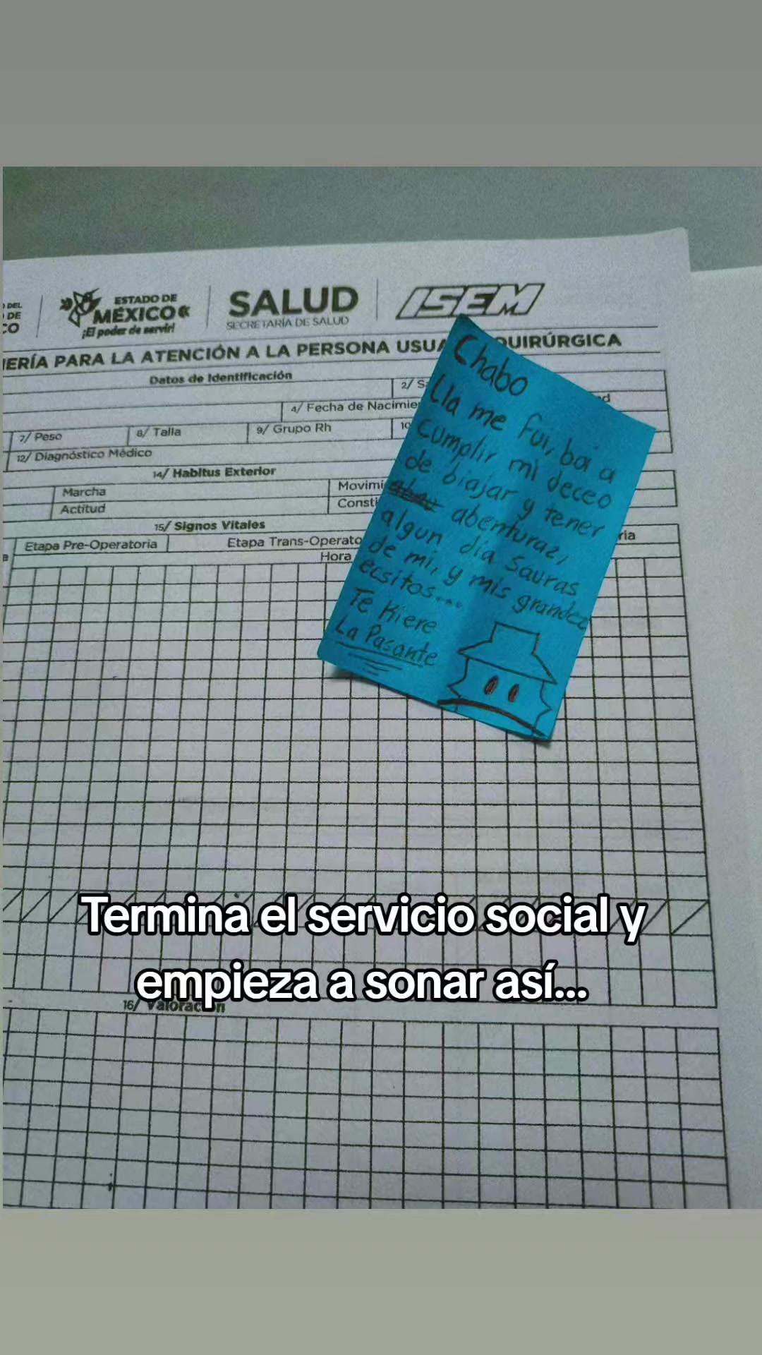 @LauraZanGremoriGasai