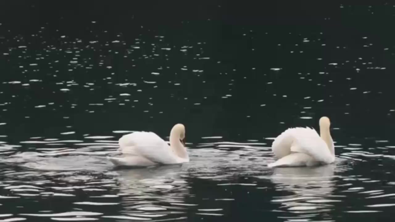 @𝙔𝙊𝙐𝙍𝙎_𝙉𝙊𝙊𝙉🌝
