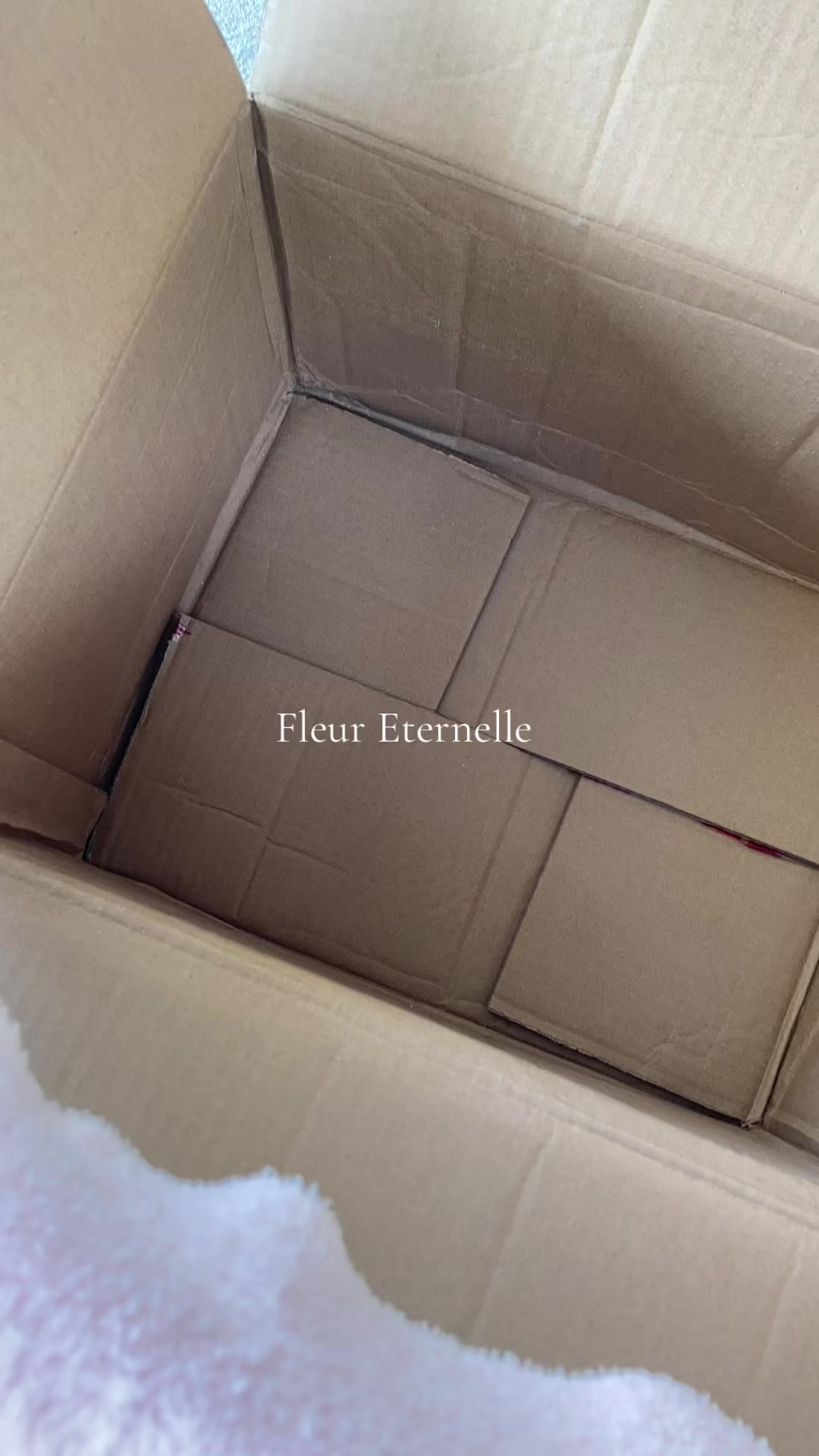 @Fleur Eternelle