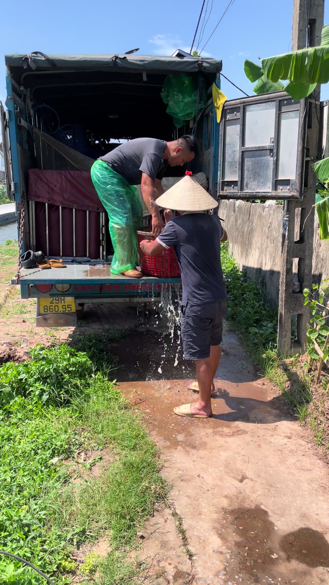 @Trại Cá Giống Quang Lâm