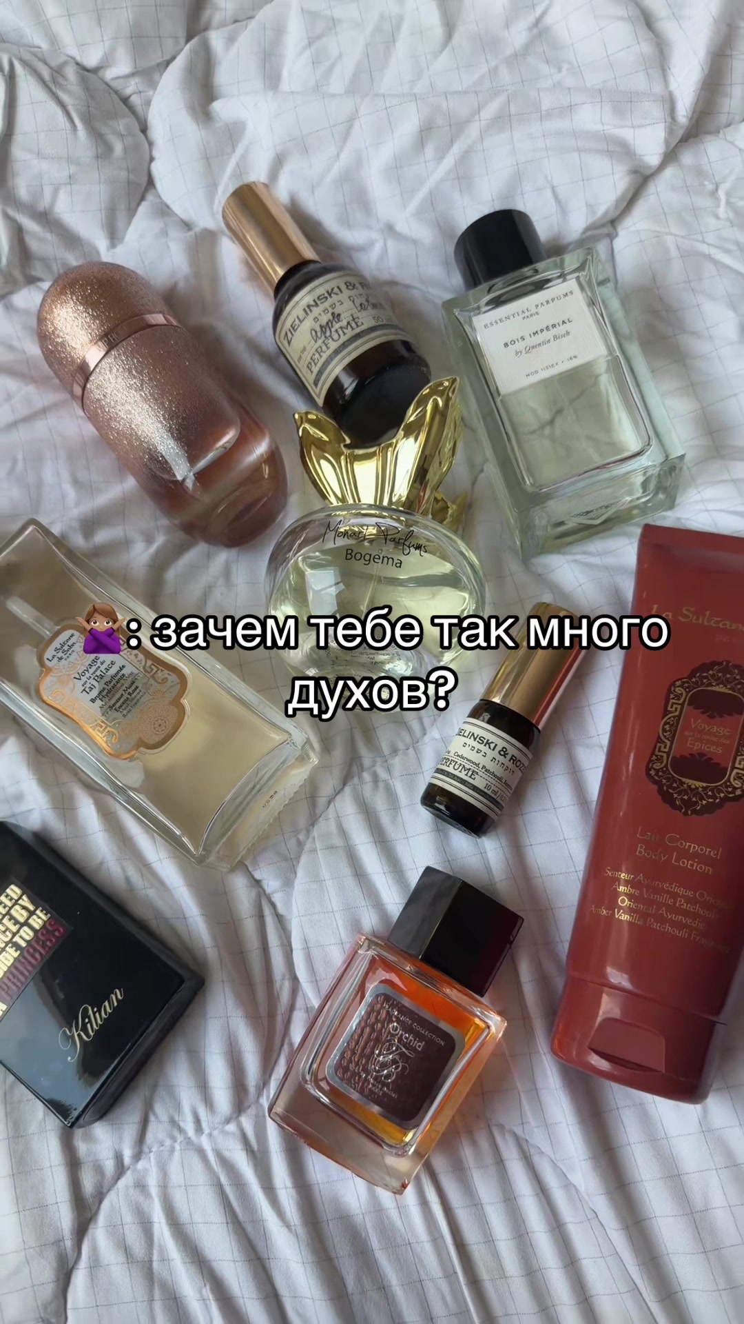 @kotechka ౨ৎ