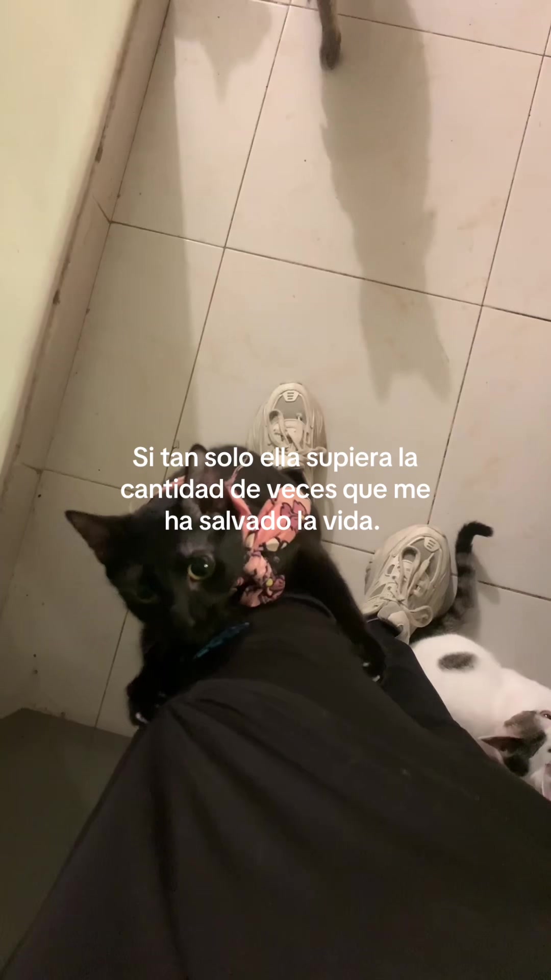 @Suki