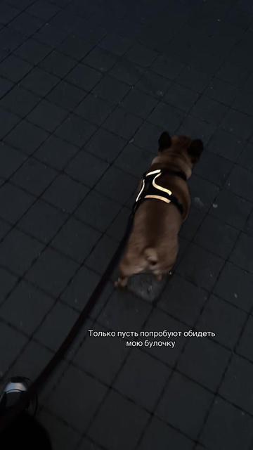@volkovaaa02