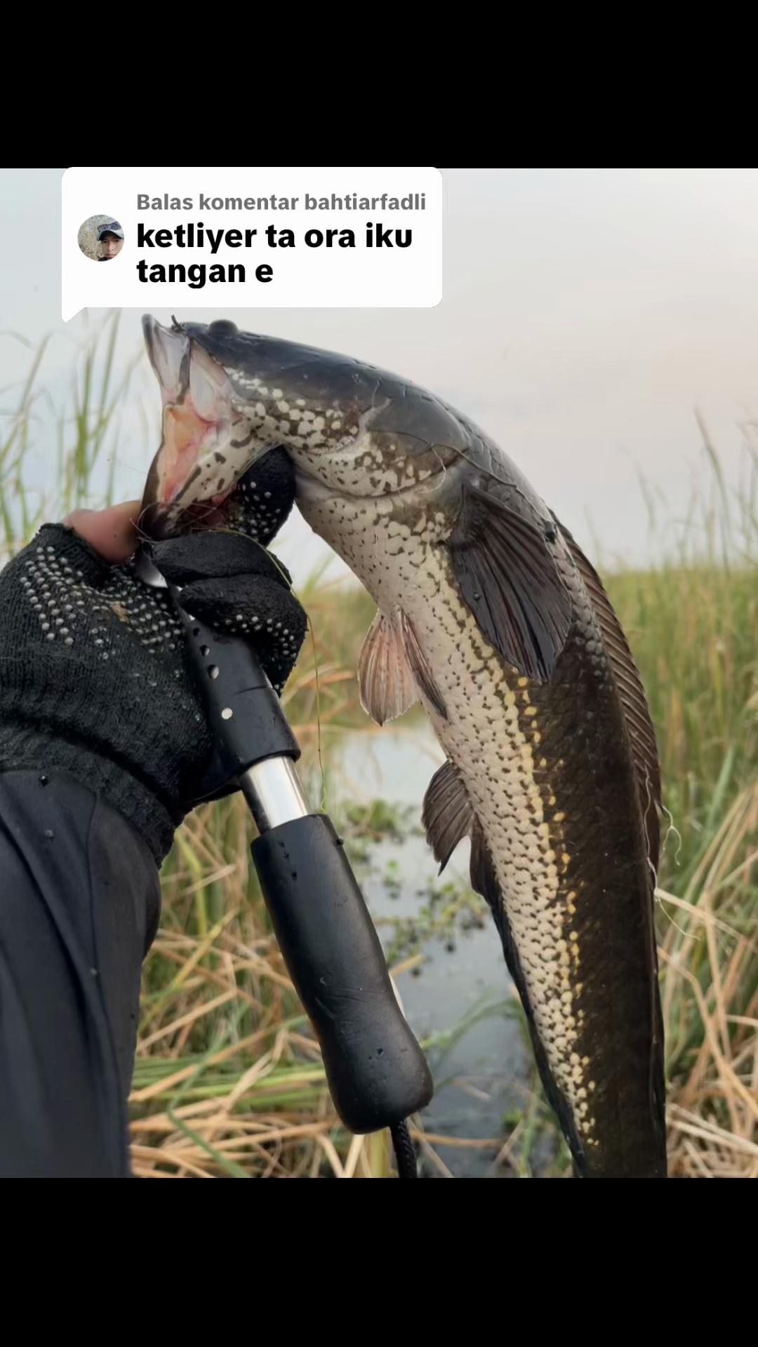 @MAFIA FISHING