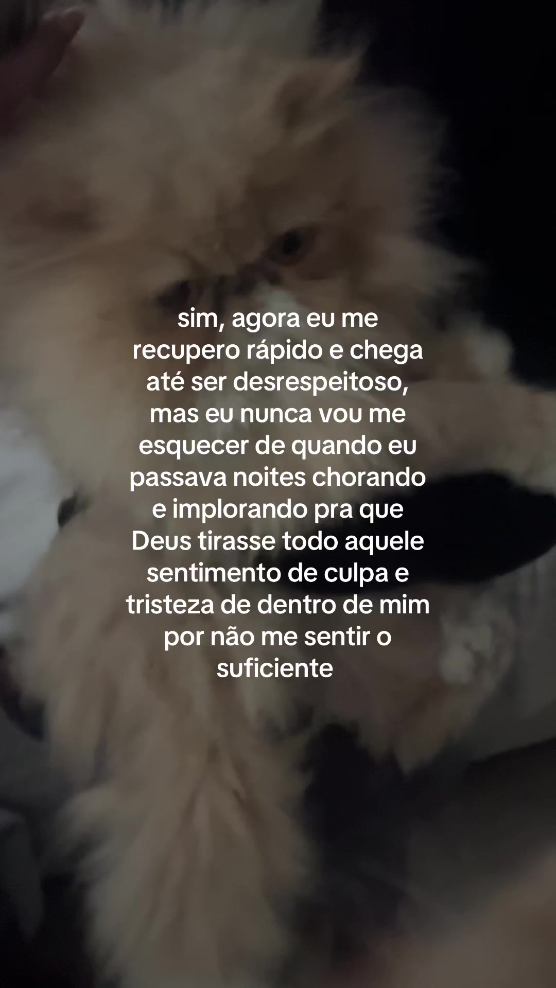 @vica