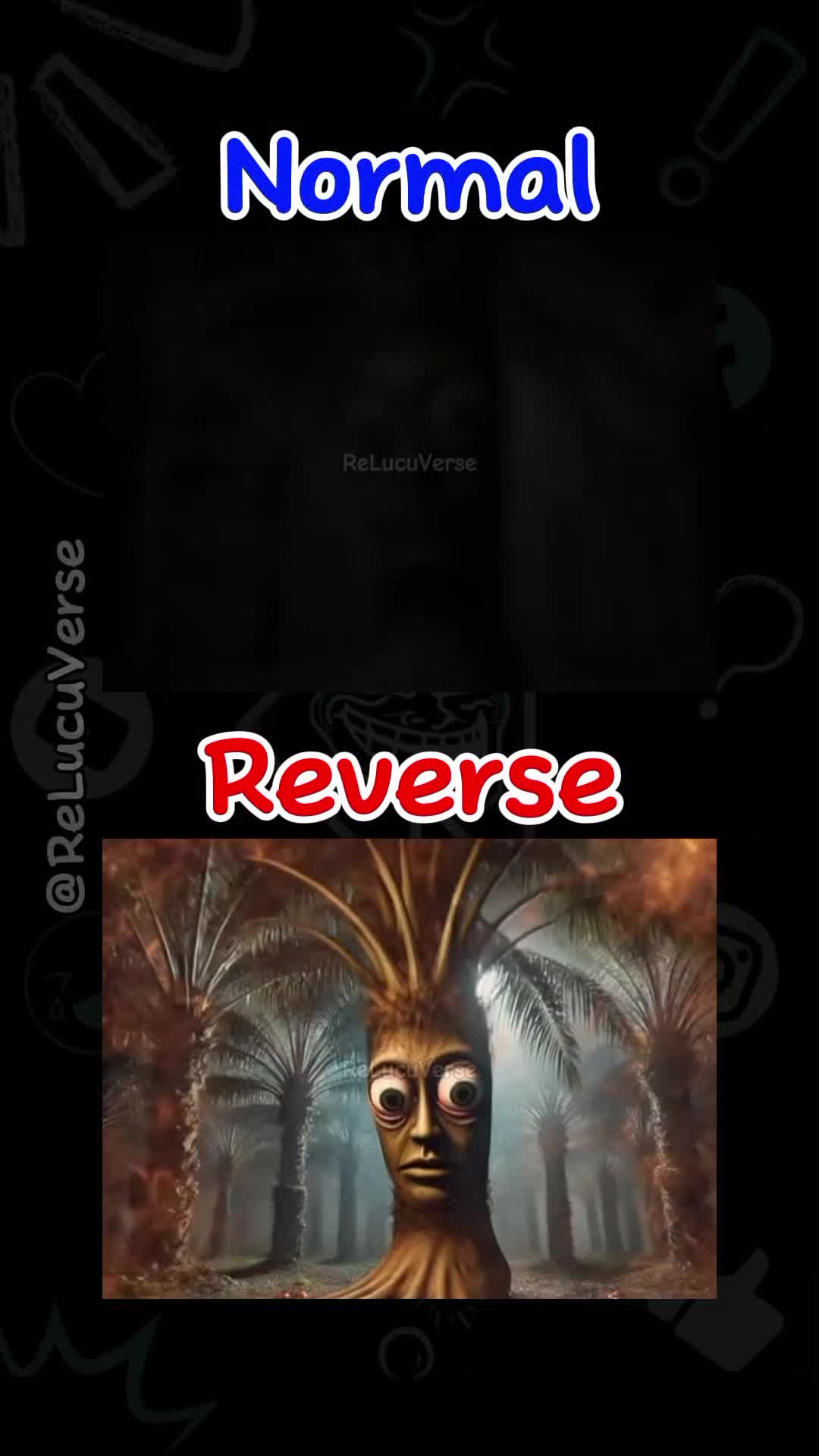 @ReLucuVerse